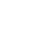 Branch Tree Logo